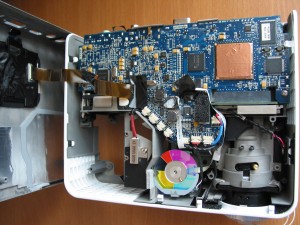 внутренности